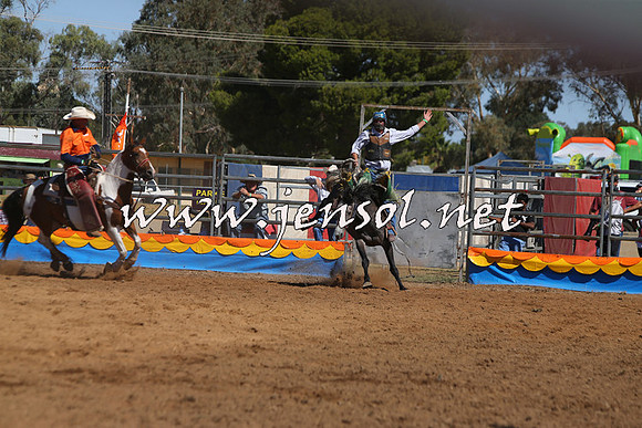 ForbesRodeo2015_0784