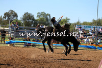 ForbesRodeo2015_0014