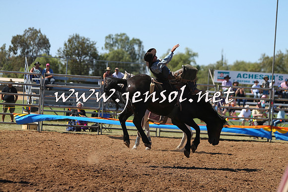 ForbesRodeo2015_0014