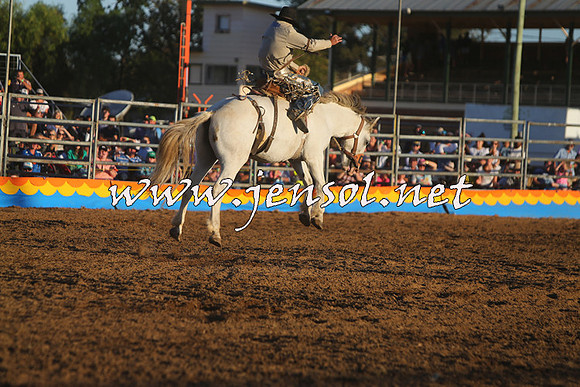 ForbesRodeo2015_1249