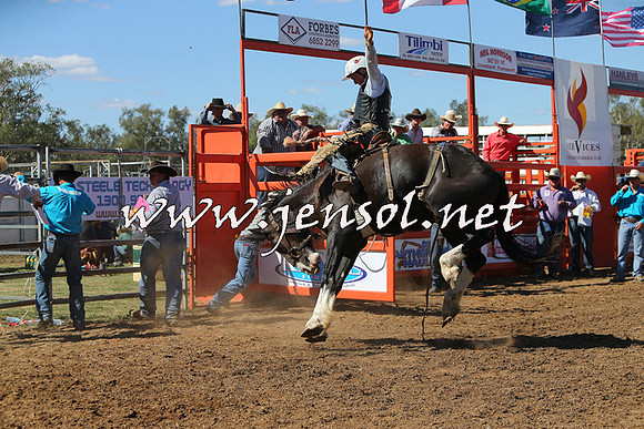 ForbesRodeo2015_0868