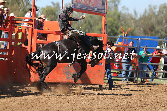 ForbesRodeo2015_0683