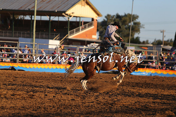 ForbesRodeo2015_1276