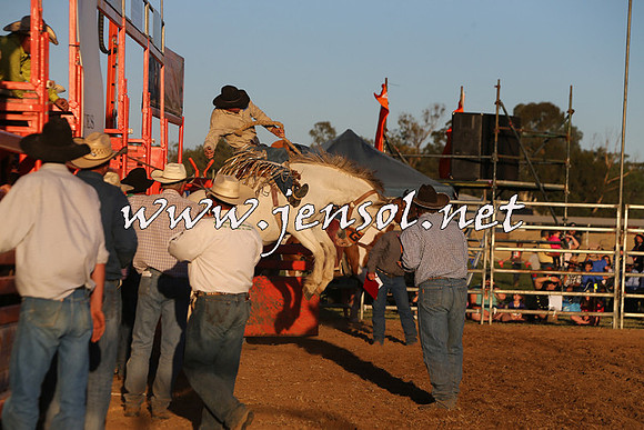 ForbesRodeo2015_1189