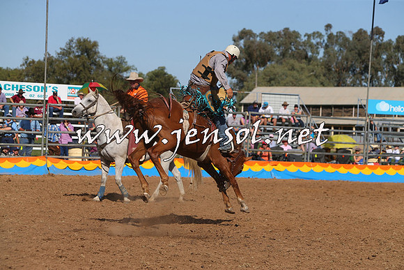 ForbesRodeo2015_1032