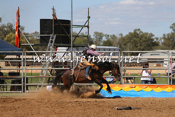 ForbesRodeo2015_0810