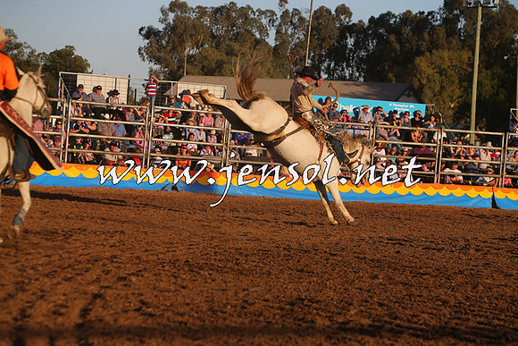 ForbesRodeo2015_1219