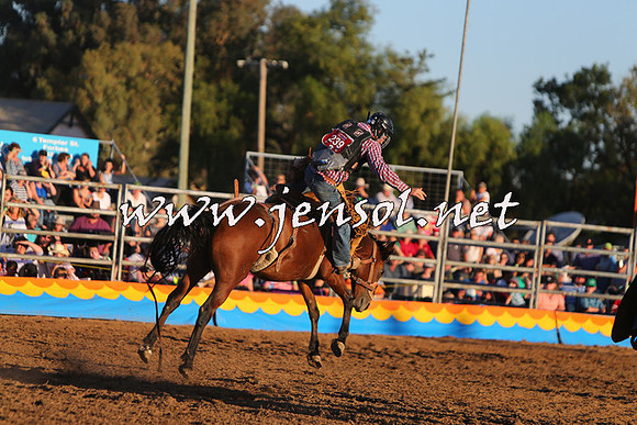 ForbesRodeo2015_1172
