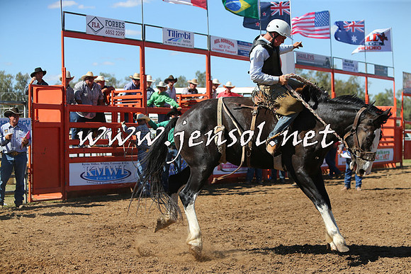ForbesRodeo2015_0879