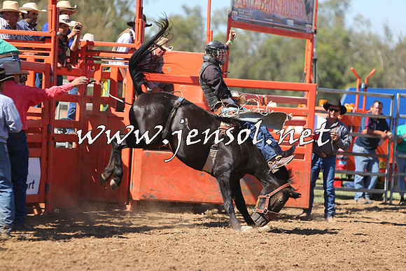 ForbesRodeo2015_0679