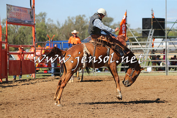 ForbesRodeo2015_0839