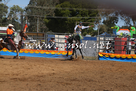 ForbesRodeo2015_0781