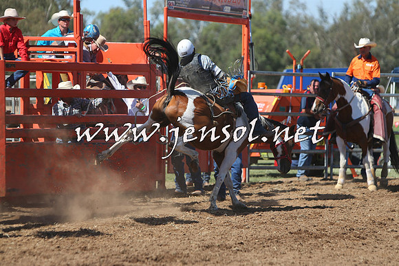 ForbesRodeo2015_0743