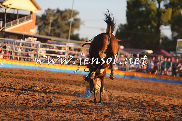 ForbesRodeo2015_1329