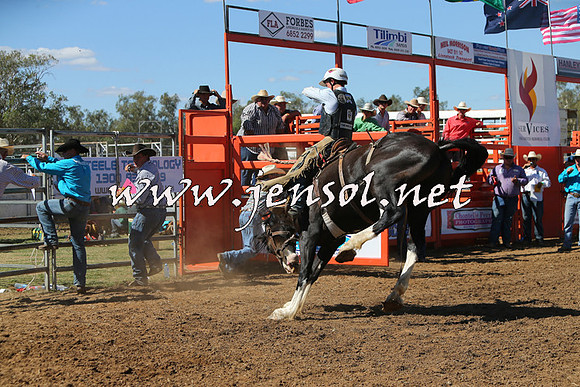 ForbesRodeo2015_0867