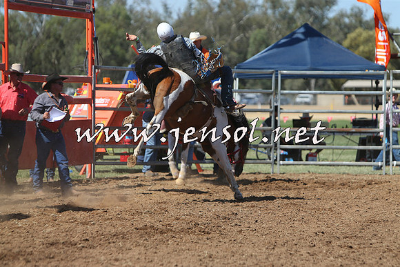 ForbesRodeo2015_0744