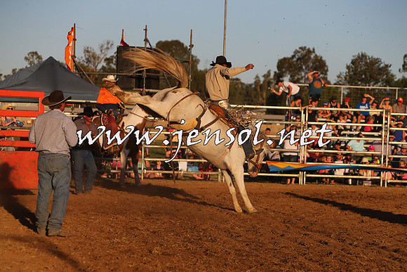 ForbesRodeo2015_1192