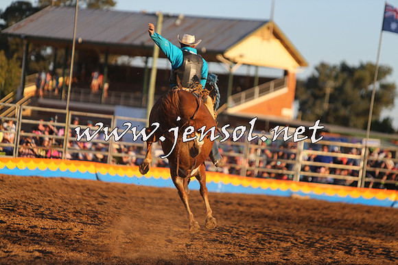 ForbesRodeo2015_1400