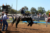 ForbesRodeo2015_0020