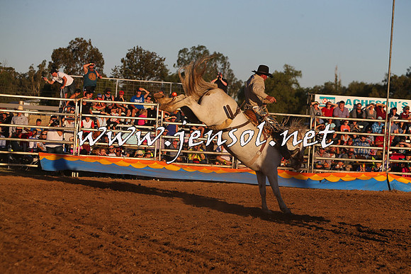 ForbesRodeo2015_1207