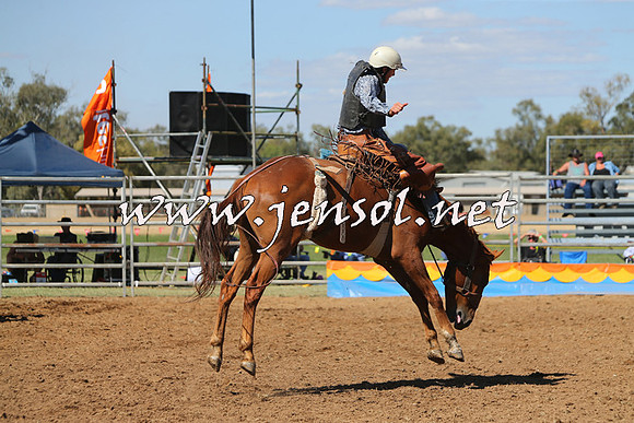 ForbesRodeo2015_0831