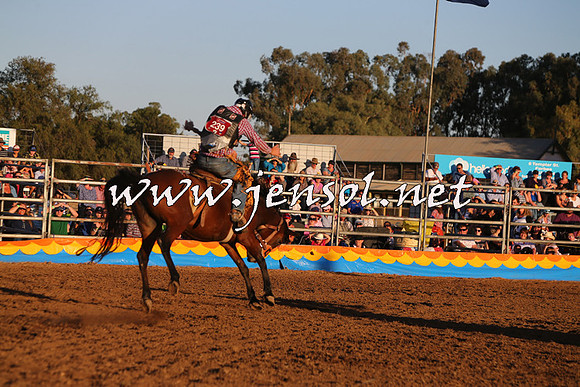 ForbesRodeo2015_1179