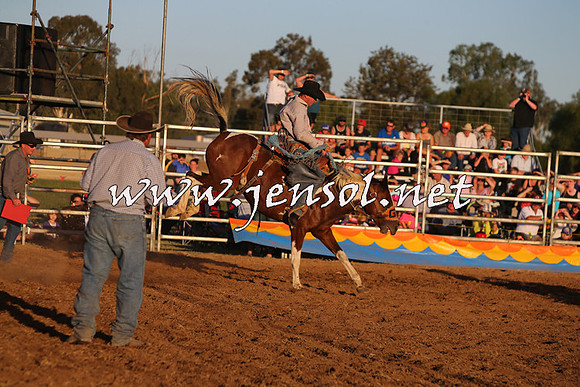 ForbesRodeo2015_1260