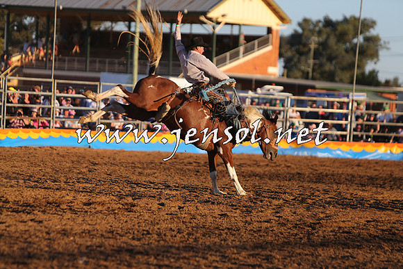 ForbesRodeo2015_1282