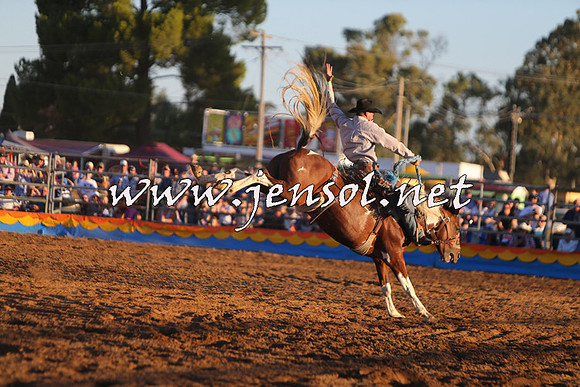 ForbesRodeo2015_1297