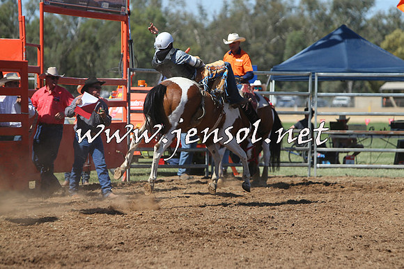 ForbesRodeo2015_0746