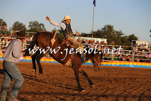 ForbesRodeo2015_1352