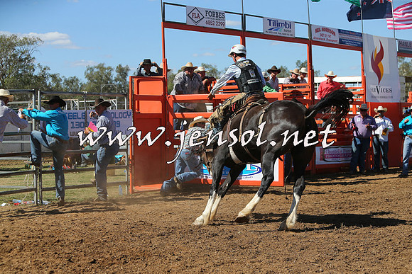 ForbesRodeo2015_0866