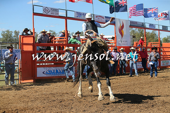 ForbesRodeo2015_0860