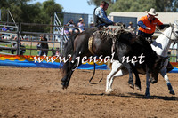 ForbesRodeo2015_0048