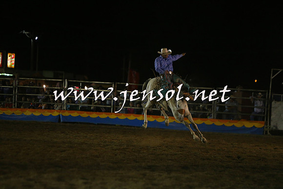 ForbesRodeo2015_2217