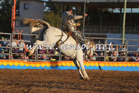 ForbesRodeo2015_1252