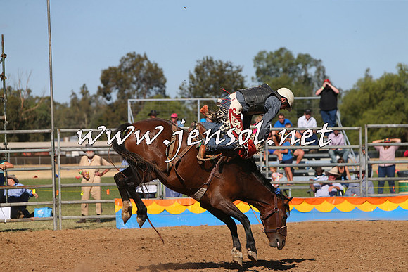 ForbesRodeo2015_0973
