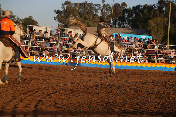 ForbesRodeo2015_1220