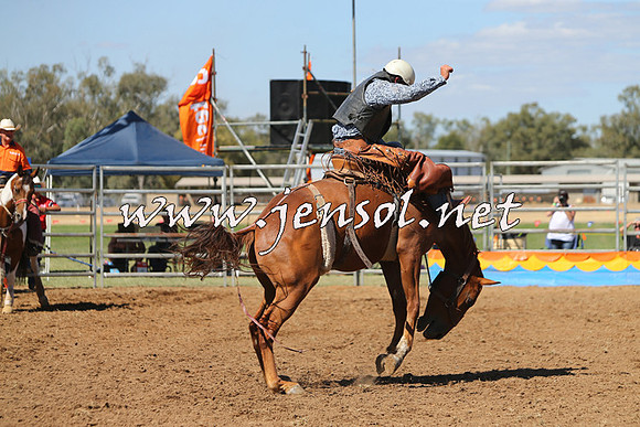 ForbesRodeo2015_0829