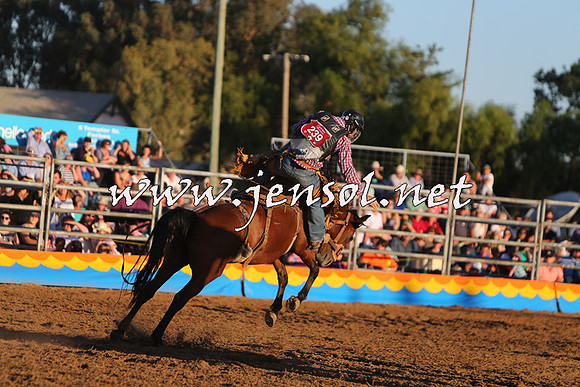 ForbesRodeo2015_1171