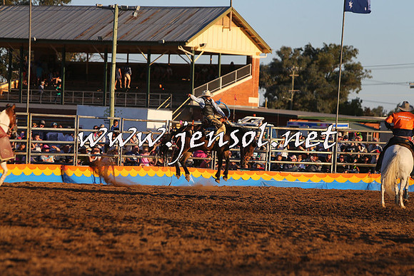 ForbesRodeo2015_1368