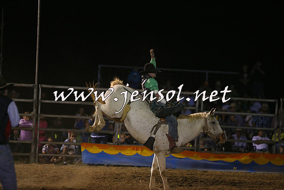 ForbesRodeo2015_1962