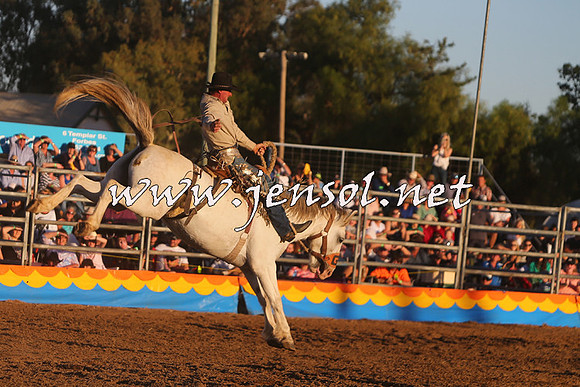 ForbesRodeo2015_1240
