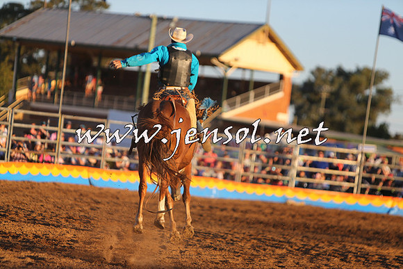 ForbesRodeo2015_1385