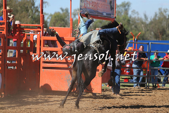 ForbesRodeo2015_0721