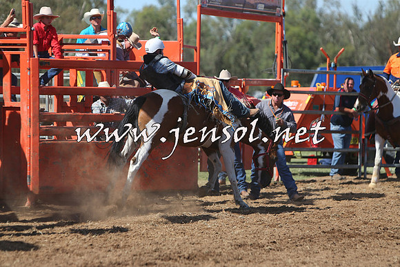 ForbesRodeo2015_0741