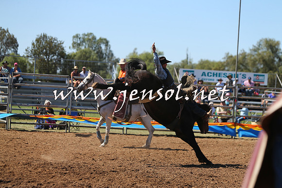 ForbesRodeo2015_0016