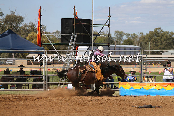 ForbesRodeo2015_0801