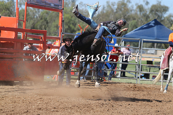 ForbesRodeo2015_0689
