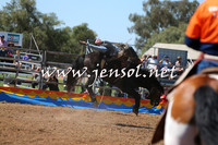 ForbesRodeo2015_0026